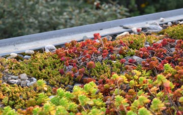 the cost of Hillside green roof installation