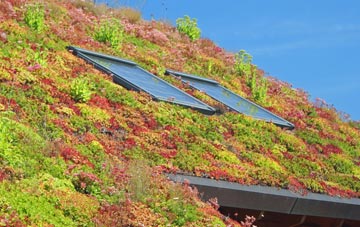 Hillside living roof systems